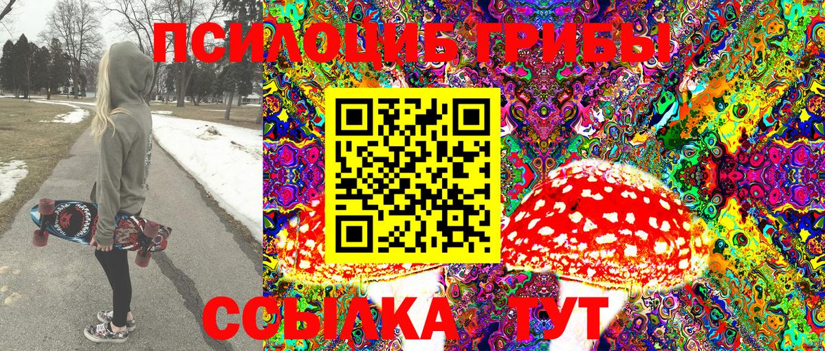 Псилоцибиновые грибы GOLDEN TEACHER Тобольск