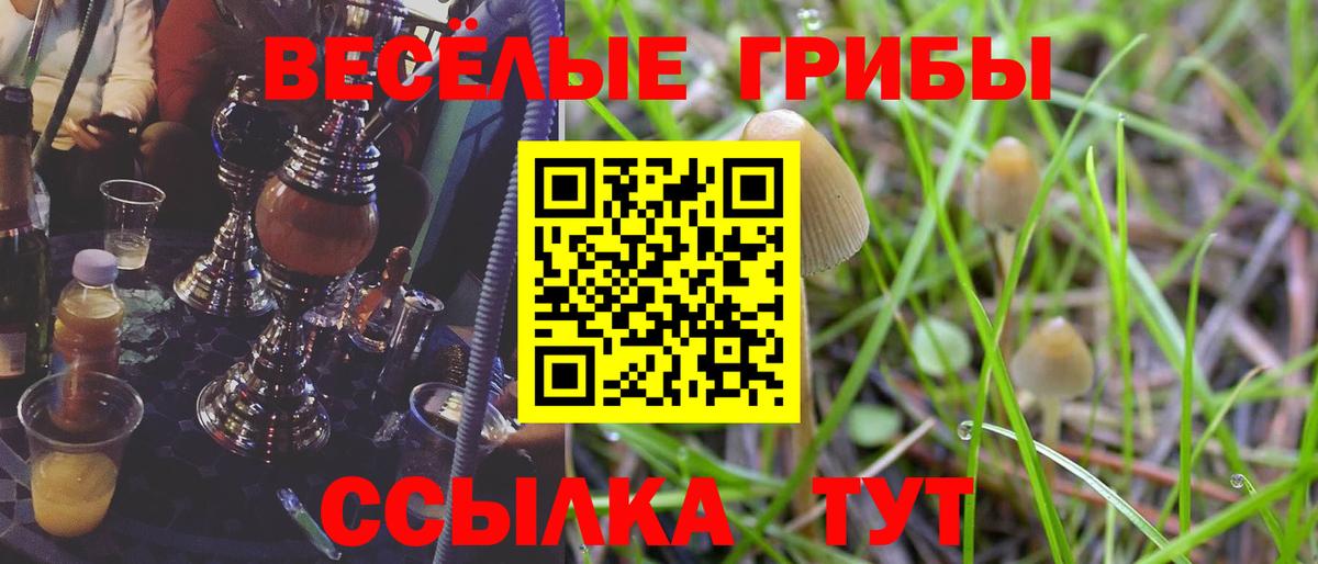 Псилоцибиновые грибы MAGIC MUSHROOMS  Вход с VPN  Тобольск 
